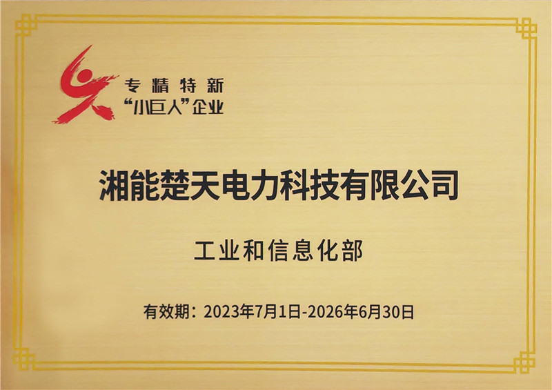 國家“專精特新”小巨人企業